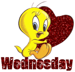 Tweety On Cute Wednesday GIF