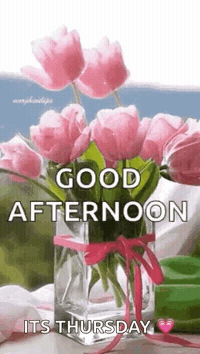 Tweety Says Good Afternoon It's Thursday GIF