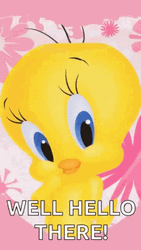 Tweety Well Hello There GIF