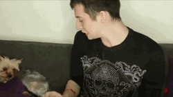Twerking Dog By Man GIF