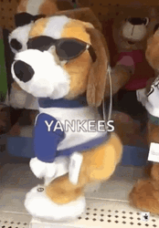 Twerking Dog Yankees GIF