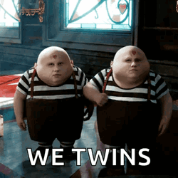 Twiddle Dum Twinning GIF