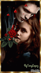 Twilight Edward And Bella GIF