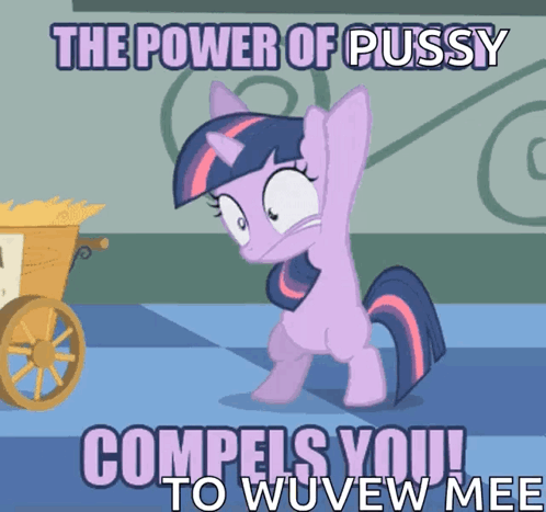 Twilight Sparkle From My Little Pony Says The Power Of Pussy Compels You To Wouview Mee GIF