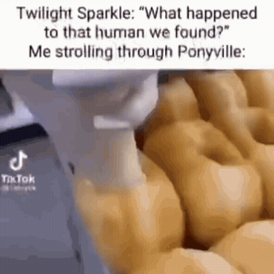 Twilight Sparkle Talking About That Human We Found GIF