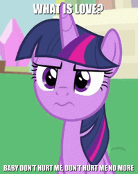 Twilight Sparkle What Is Love GIF