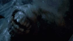 Twilight Zone Airplane Monster John Lithgow GIF