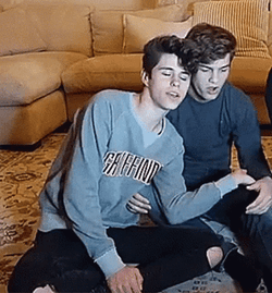 Twinks Burst Of Optimism GIF