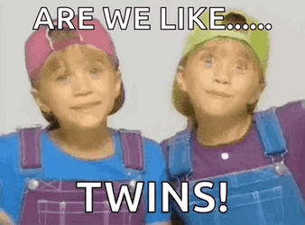 Twinning Are We Like Twins GIF