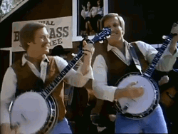 Twins Banjo Yeehaw Kick GIF