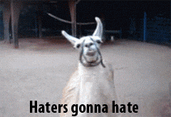 Twirling Alpaca Haters GIF