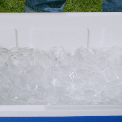 Twisted Tea Ice Bucket GIF