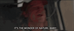 Twister Philip Seymour Hoffman Wonder Of Nature GIF