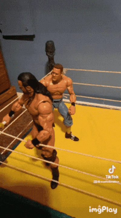 Two Action Figures Wrestling In Ring With TikTok Watermark GIF