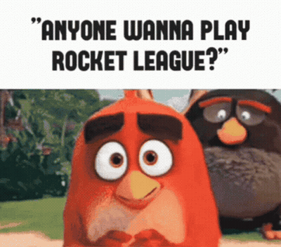 Two Angry Birds Anyone Wanna Play Rocket League GIF