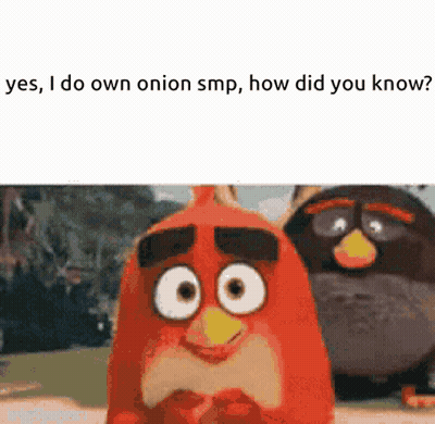 Two Angry Birds Saying Yes I Do Own Onion SMP GIF