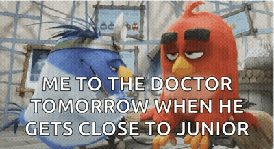 Two Angry Birds Standing With Caption Me To The Doctor Tomorrow When He Gets Close To Junior GIF