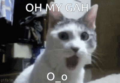 Two Animals Hugging Saying You Make Me So Happy I Love You Very Much GIF