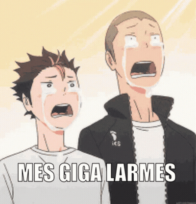 Two Anime Characters Crying Mes Giga Larme GIF