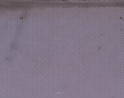 Two Ants Shaking Hands With A Man In A Suit GIF
