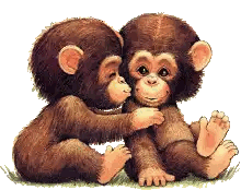 Two Baby Chimpanzees Are Sitting Next To Each Other Sticker