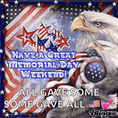 Two Bald Eagles All Gave Some Some Gave All GIF