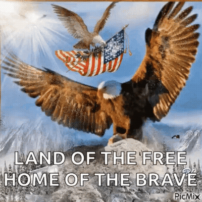 Two Bald Eagles Flying Over Mountain With American Flag GIF
