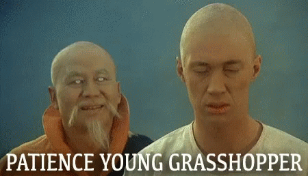 Two Bald Men Are Standing Next To Each Other With The Words Patience Young Grasshopper Written On The Bottom GIF