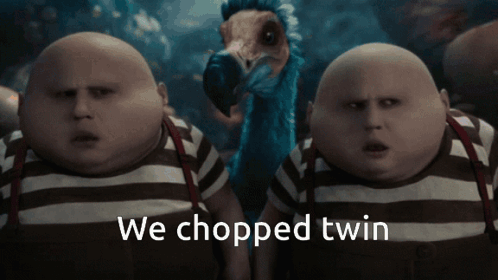 Two Bald Men Standing With We Chopped Twin GIF