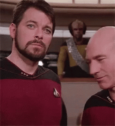 Two Bald Men With Beards GIF