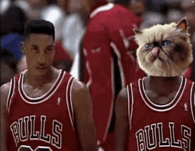 Two Basketball Players Wearing Bulls Jerseys Are Holding Hands GIF