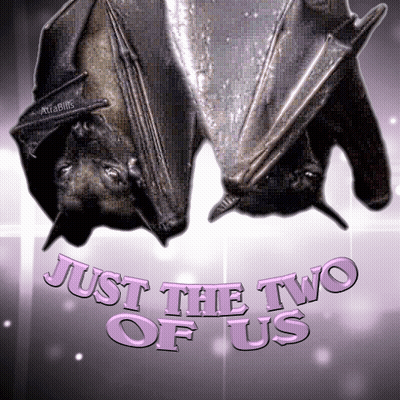Two Bats Are Hanging Upside Down And The Words Just The Two Of Us Are Below Them GIF