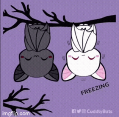 Two Bats Hanging Upside Down From A Tree Branch With The Words Freezing Written Below Them GIF