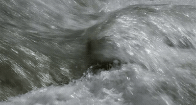 Two Bears Football Players Should I Start You This Week GIF