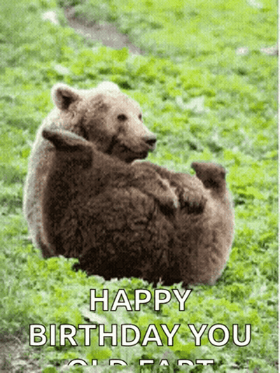 Two Bears Laying In Grass Happy Birthday You Old Fart GIF