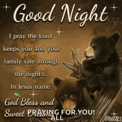 Two Bears Sitting On Tree Branch Good Night GIF
