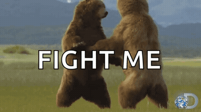 Two Bears Standing In Field Saying Fight Me GIF