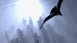 Two Bird Flying Over Forest GIF