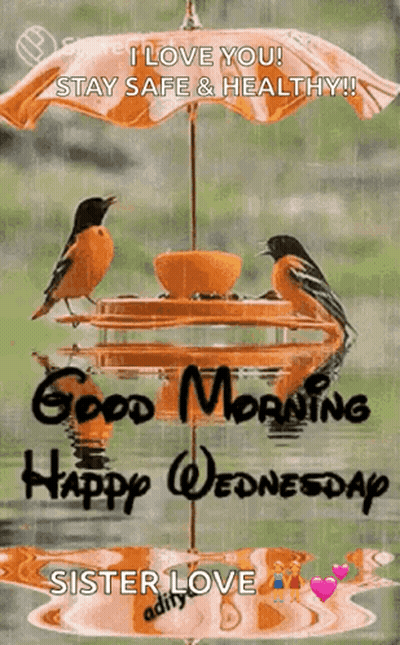 Two Birds Are Sitting On A Bird Feeder Under An Umbrella . GIF