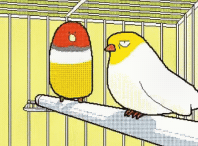 Two Birds Are Sitting On A Branch In A Cage GIF