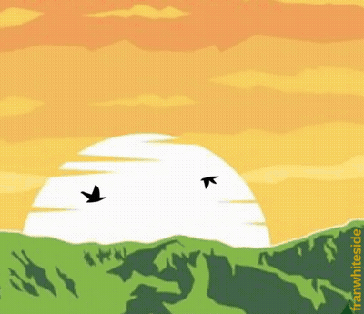 Two Birds Flying In Front Of Sunset Franwhite.de GIF