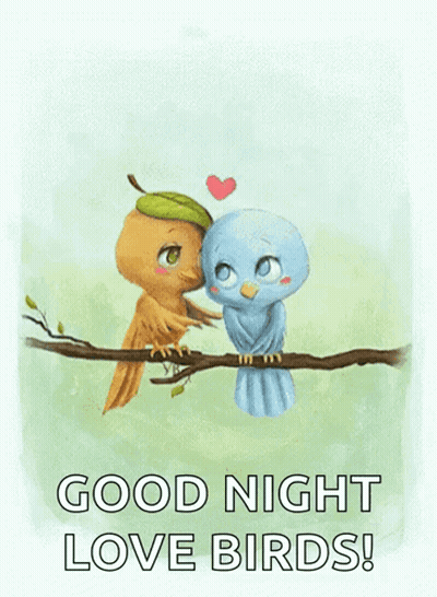 Two Birds Kissing On A Tree Branch With The Words Good Night Love Birds GIF