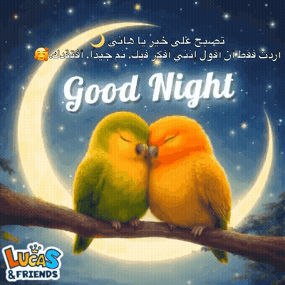 Two Birds Kissing On A Tree Branch With The Words Good Night Lucas & Friends GIF
