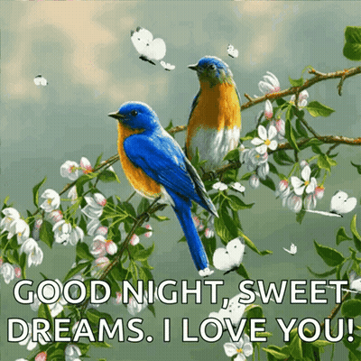 Two Birds On Branch With Flowers And Butterflies GIF