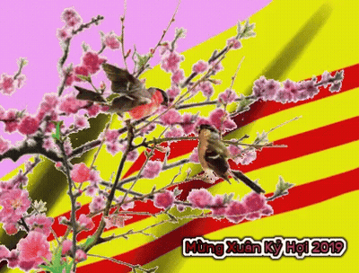Two Birds On Tree Branch With Flowers 2019 GIF