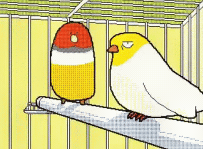 Two Birds Side By Side One With Red Heart GIF