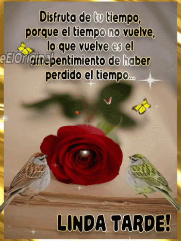 Two Birds Sit On A Table Next To A Red Rose With The Words Linda Tarde At The Bottom GIF