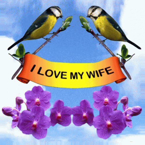 Two Birds Sitting On A Branch With Purple Flowers And A Banner That Says I Love My Wife GIF