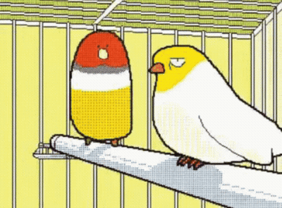 Two Birds Sitting On Branch In Cage GIF
