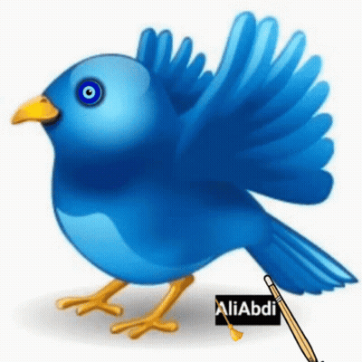 Two Birds Sitting On Branch In Cage GIF
